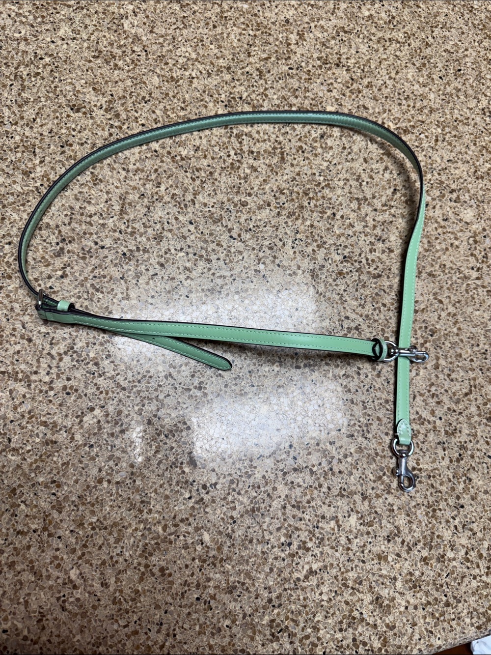 Coach Leather Crossbody Strap in Mint Green